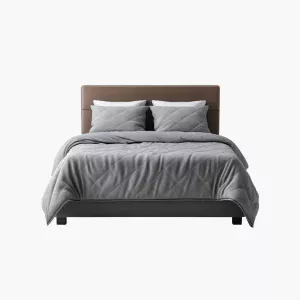 product-45 Lectus Proin